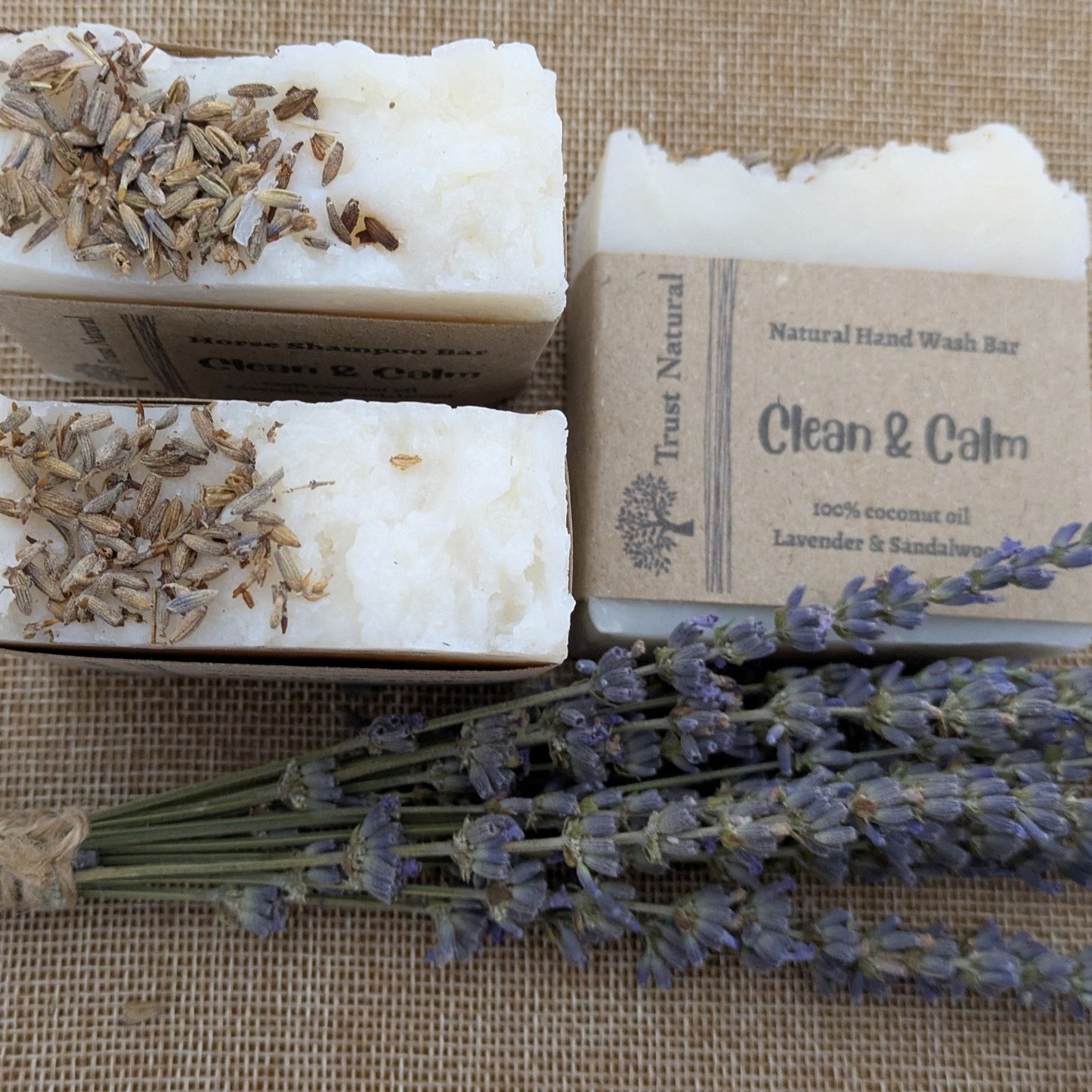 Clean & Calm Horse Shampoo Bar