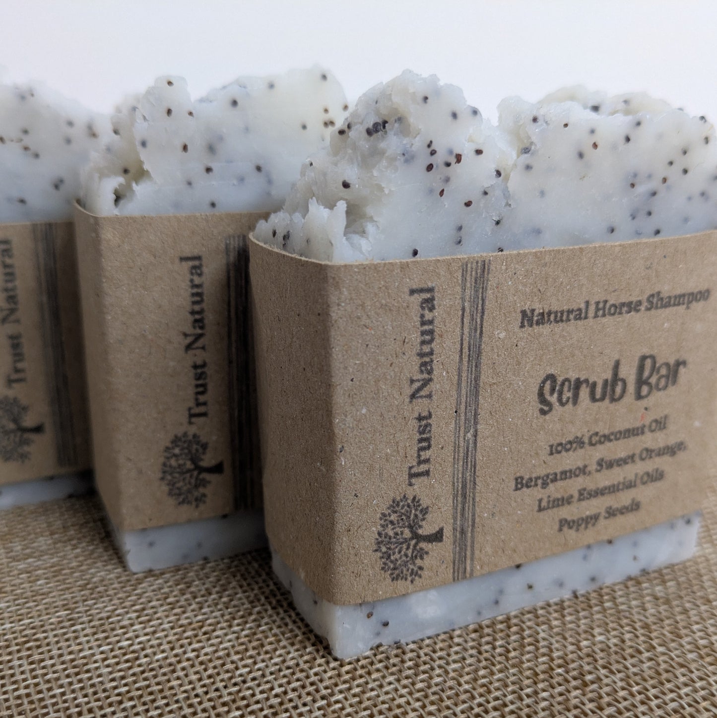 Scrub Horse Shampoo Bar - Exfoliating Stain Remover