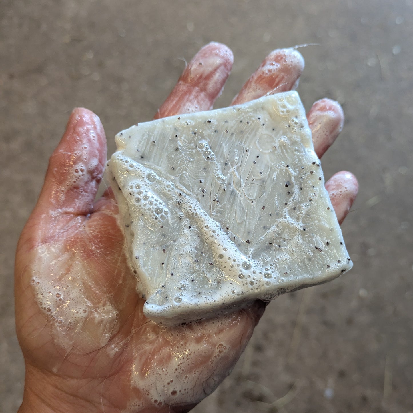 Clean & Calm Horse Shampoo Bar
