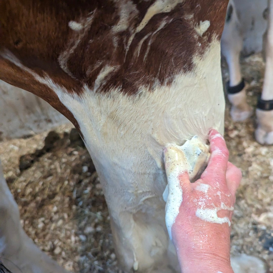 Clean & Calm Horse Shampoo Bar